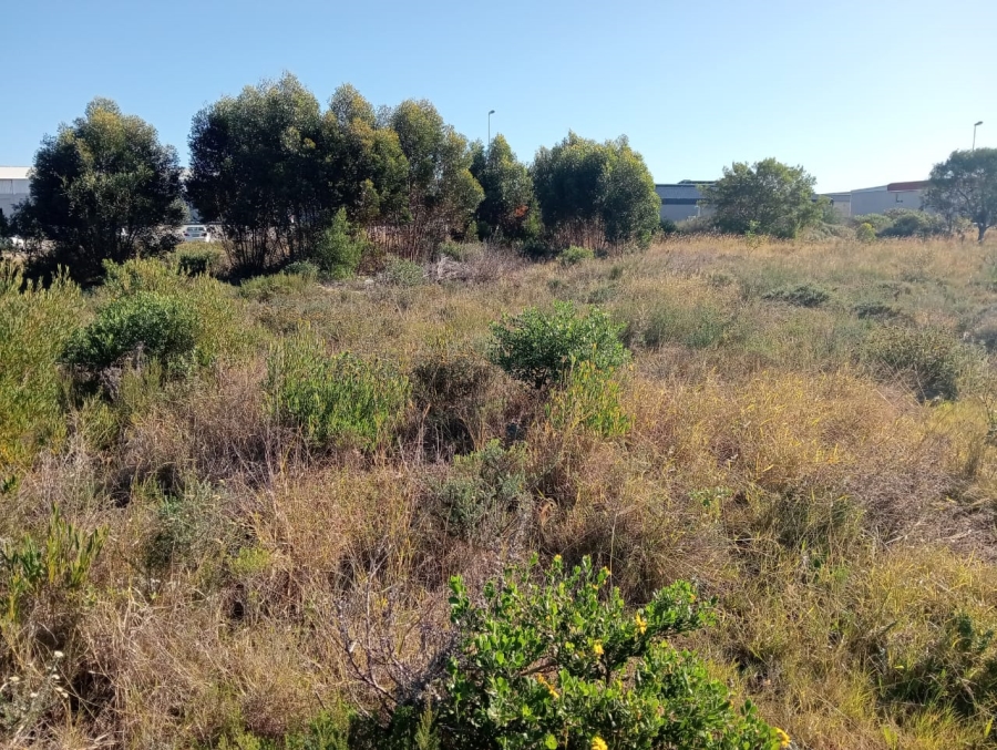 0 Bedroom Property for Sale in Fountains Estate Eastern Cape